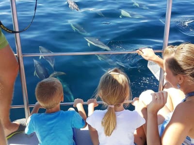 Observation des dauphins sur un catamaran, depuis Lagos