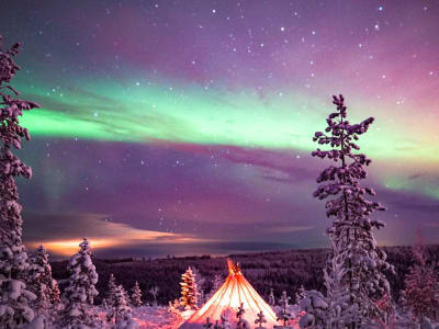 Aurore boréale en motoneige à Rovaniemi 