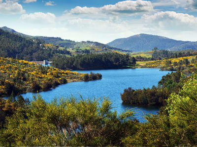 Kayaking & Stand Up Paddling Tour in Marvâo, near Coimbra