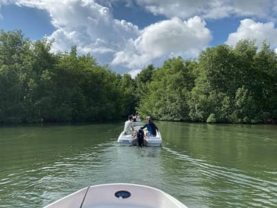 Excursion guidée en bateau sans permis au Grand Cul-de-sac marin depuis Sainte-Rose