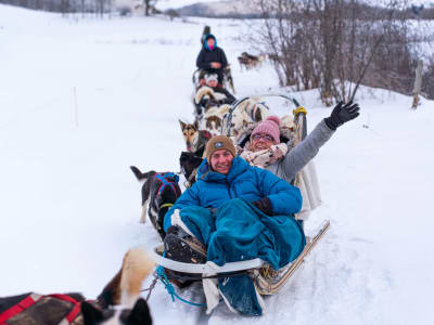 Dog Sledding in the Outaouais from Ottawa and Gatineau