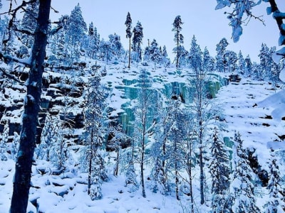 Randonnée dans la réserve naturelle de Kourouma avec barbecue au départ de Rovaniemi 