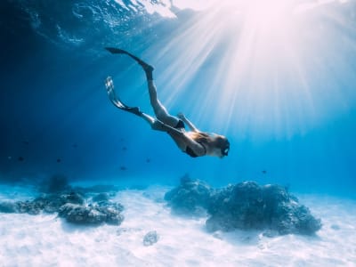 Introduction to Freediving in the Tahiti Lagoon from Puna'auia