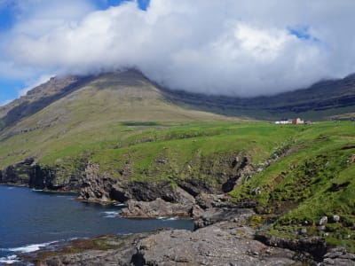 Excursión a las Islas Feroe del Norte desde Tórshavn