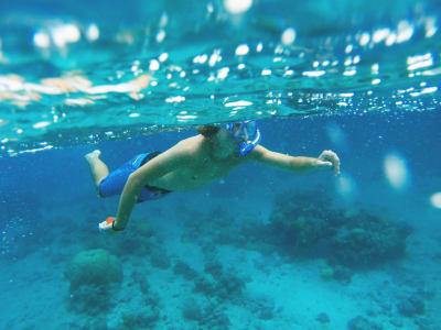 Bootstour und Schnorcheln um La Maddalena, Sardinien