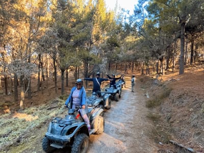 Excursion guidée en quad dans la forêt de Knysna, parc national de la Garden Route