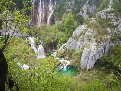 Visita de un día al Parque Nacional de la UNESCO de los Lagos de Plitvice desde Rijeka