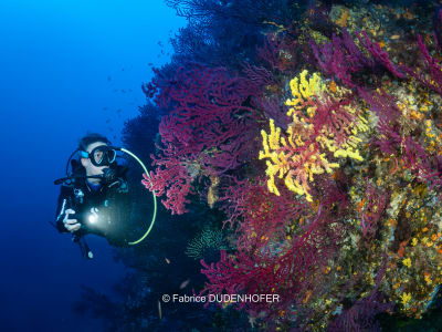 Buceo de exploración en Marsella