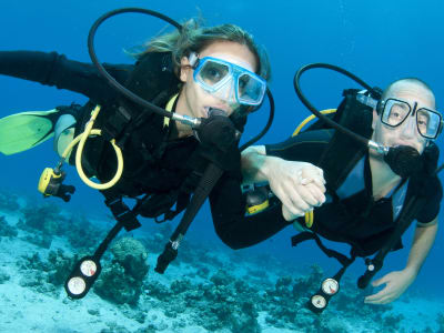 PADI Scuba Diving Discovey Kurs in Kapstadt