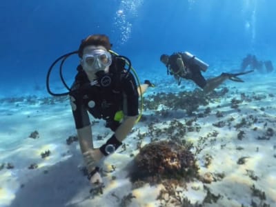 Couple First Scuba Dive in Tahiti