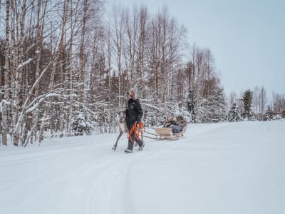Ice Fishing Excursion and Reindeer Sleigh Ride from Rovaniemi
