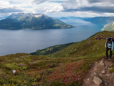 Hiking Excursion on Oksen Mountain near Hardangerfjord from Voss