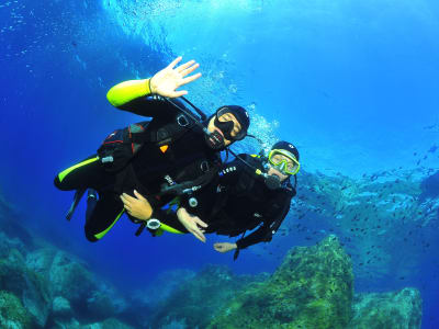 Descubre el buceo en Lumio cerca de Calvi, Balagne