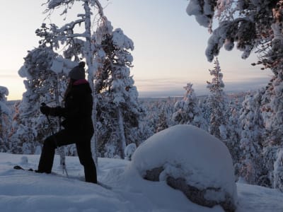 Excursión guiada con raquetas de nieve desde Inari