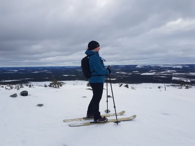 Wilderness Skiing around Pyhä-Luosto National Park