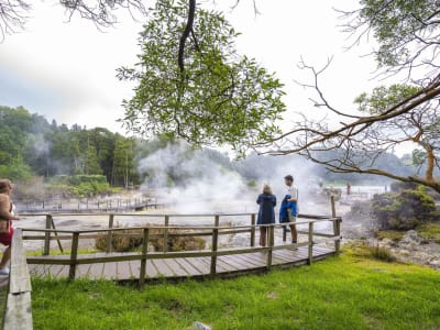 Excursión guiada en autobus al Valle de Furnas y a las aguas termales del Parque Terra Nostra en San Miguel, Azores