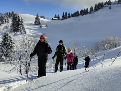 Guided Snowshoe Hike on Semnoz from Annecy