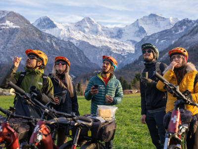 Excursion à vélo électrique à Interlaken