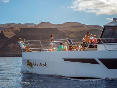 Excursión en catamarán en Gran Canaria desde la playa de Puerto Rico