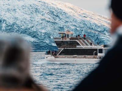 Arktische Fjord- und Wildnis-Kreuzfahrt ab Tromsø