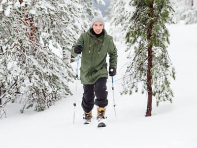 Excursion à ski dans le parc national de Pyhä-Luosto au départ de Pyhä