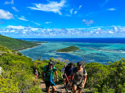 Leichte Wanderung um den Morne Brabant auf Mauritius