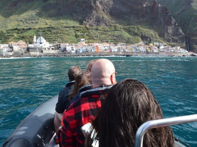 Private Speedboat Whale and Dolphin Watching from Calheta, Madeira
