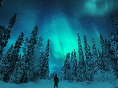Excursion aux aurores boréales et repas autour d'un feu de camp au lac Inari depuis Ivalo