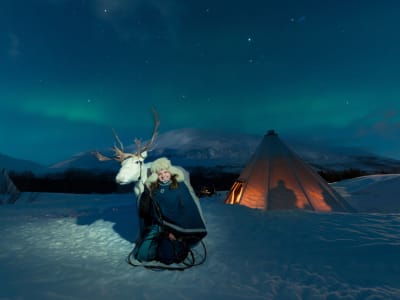 Nordlicht Sami Kultur Erlebnis und Rentier Besuch von Tromsø