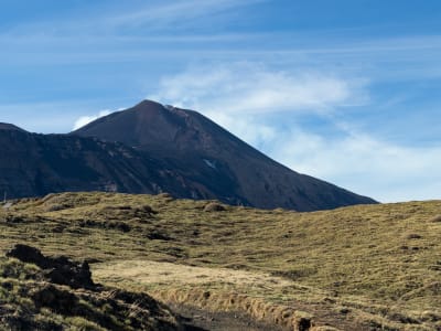 Guided Hiking Tour to Schiena dell'Asino, Mount Etna (1900m), Sicily