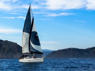 Segelbootausflug ab Knysna