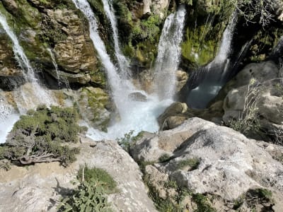Preveli Beach and Kourtaliotiko Gorge Waterfalls 4x4 Tour from Amoudara