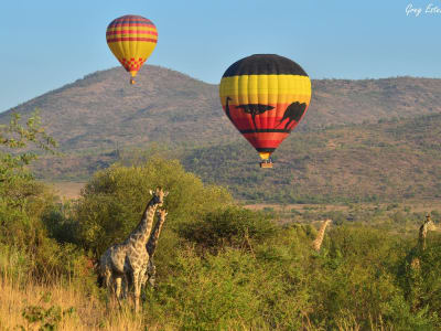 Heißluftballon-Safari im Pilanesberg-Nationalpark