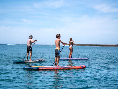 Guided Stand-up paddle Tour of Table Bay in Cape Town