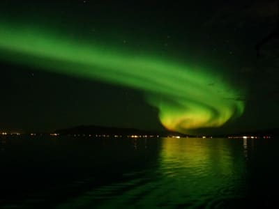 Excursión a caballo y en barco por la Aurora Boreal desde Reikiavik 