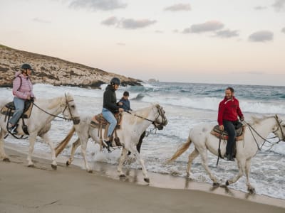 Sunrise Horseback Riding Adventure from Krios Beach in Paros