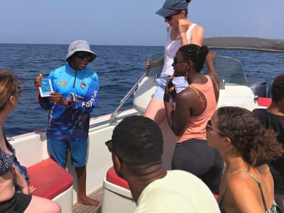 Dolphin Watching from Les Trois-Îlets in Martinique and Snorkelling