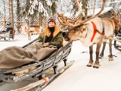 Reindeer Farm Visit and Sleigh Ride in Pyhätunturi