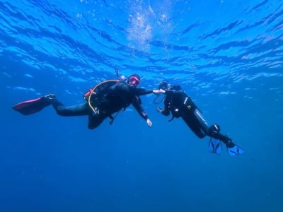 Baptême de plongée à Port-Vendres, dans le Parc naturel marin du Golfe du Lion