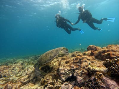 First Dive in Santa Maria, Cape Verde