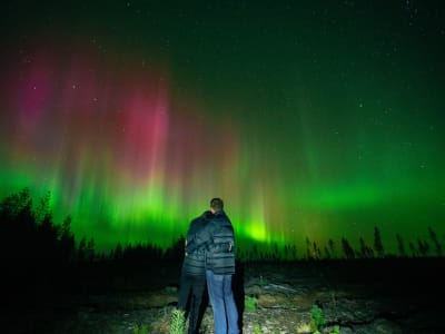 Caza Guiada de Auroras Boreales desde Kemijärvi