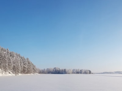 Excursión de pesca en hielo en Laukaa 