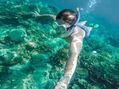 Excursión guiada de snorkel en Cala Gonone, Orosei, Cerdeña