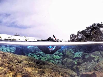 Excursion guidée de snorkeling dans la fissure de Silfra au parc national de Thingvellir depuis Reykjavik