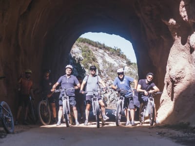 Fahrt mit dem Elektrofahrrad auf dem Porto de Mós Ecopista