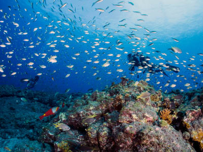 Exploration Diving in Santo Antão, Cape Verde, from Porto Novo