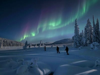 Northern Lights Skiing Across a Frozen Lake in Ylläs from Äkäslompolo