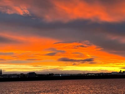 Observation des baleines au soleil de minuit depuis Reykjavik