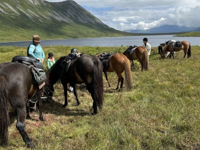 Horseback Riding Tour to a Fishing Lake from Ørskogfjellet near Ålesund