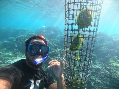 Visite d'une ferme de perle noire de Tahiti, à Bora Bora 